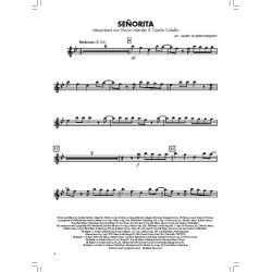 Bl&auml;serKlasse Chart-Hits - Fl&ouml;te : Angesagte Popnummern f&uuml;r den gro&szlig;en Auftritt